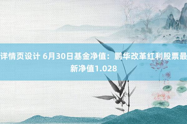 详情页设计 6月30日基金净值：鹏华改革红利股票最新净值1.028