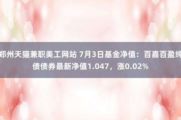 郑州天猫兼职美工网站 7月3日基金净值：百嘉百盈纯债债券最新净值1.047，涨0.02%